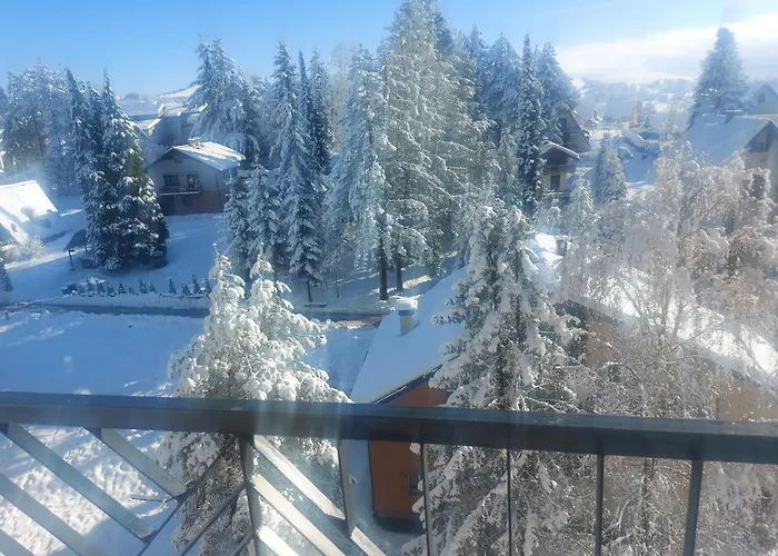 Apartman Kovacevic Magnet Zlatibor